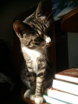 Кого из животных вы содержите? Фото приветствуется. - DSC_0086.JPG