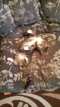 Такая малявочка была)