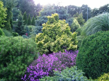 Ландшафтный дизайн. - IJ4J4exnfs4.jpg