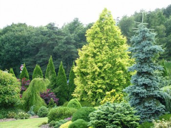 Ландшафтный дизайн. - RTEBtDpxK90.jpg