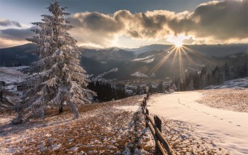 фото Дмитрия Косменко