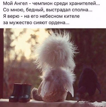 Шутки в сторону  - IMG_20170210_202738_7.jpg