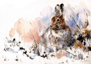 Картины и рисунки с животными. Всё, что нам нравится  - image.jpg