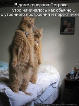 Из ВКонтактика с приветиком  - BIsDdJBsbj0.jpg