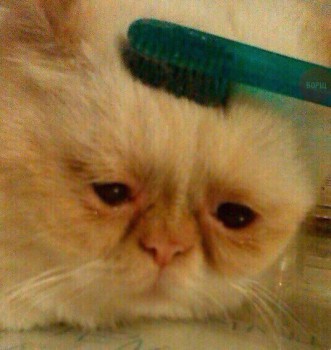 Из ВКонтактика с приветиком  - fvESwvA2jpY.jpg