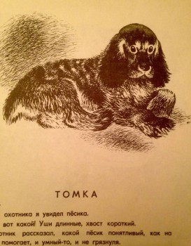 Книжная иллюстрация - image.jpg