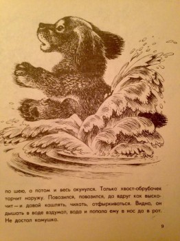 Книжная иллюстрация - image.jpg