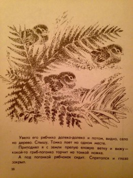 Книжная иллюстрация - image.jpg