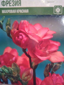 Садово-огородные дела. - 1487091569070-1406389508.jpg