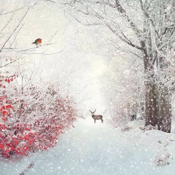 А снег идёт... - image.jpg