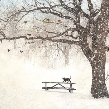 А снег идёт... - image.jpg