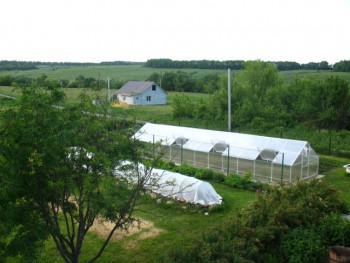 Садово-огородные дела. - IMG_0164.JPG