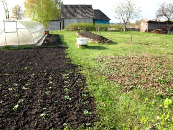Садово-огородные дела. - IMG_0120.JPG