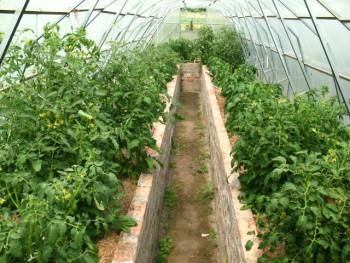 Садово-огородные дела. - IMG_0622.JPG