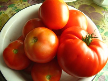 Садово-огородные дела. - IMG_0715.JPG