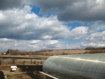 Садово-огородные дела. - Изображение 019.jpg