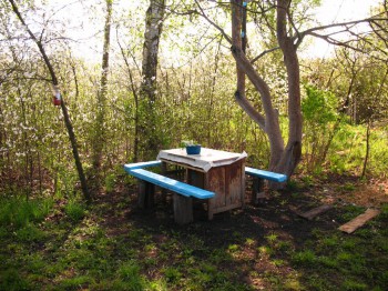 Садово-огородные дела. - IMG_0111.JPG