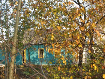 Садово-огородные дела. - IMG_0298.JPG