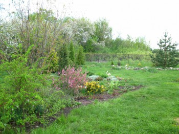 Садово-огородные дела. - IMG_0067.JPG