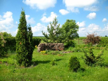 Садово-огородные дела. - IMG_0006.JPG