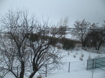 Садово-огородные дела. - IMG_0042.JPG