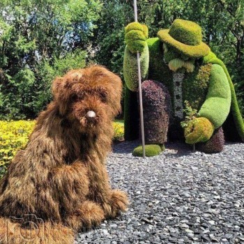 Ландшафтный дизайн. - 526tMOBTpiE.jpg