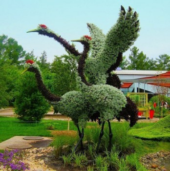 Ландшафтный дизайн. - PEx1wicWNo4.jpg