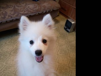 Кого из животных вы содержите? Фото приветствуется. - DSC_0151.JPG