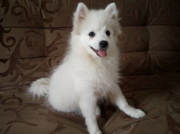 Кого из животных вы содержите? Фото приветствуется. - DSC_0166.JPG