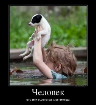 Наши дети. - cRKbYd59pLA.jpg