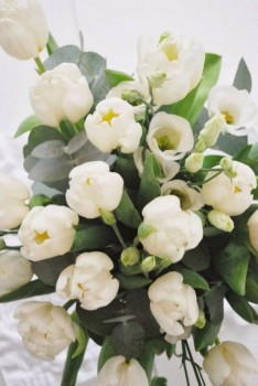 Доброго утра Хорошего дня Спокойной ночи  - 6E6eAowF4yo.jpg