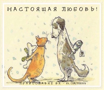 Из ВКонтактика с приветиком  - image.jpg