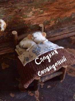 Доброго утра Хорошего дня Спокойной ночи  - MwVJGjFlVro.jpg