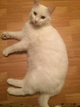 Кого из животных вы содержите? Фото приветствуется. - IMG_0389.JPG