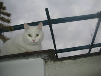 на прогулке