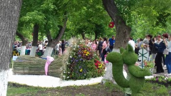 Ландшафтный дизайн. - 20170617_115544.jpg