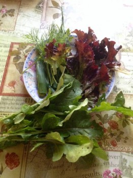 Прямо с грядки Наш урожай  - image.jpg