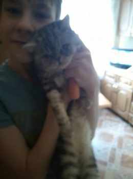 Кого из животных вы содержите? Фото приветствуется. - IMG_20170625_200616[1].jpg