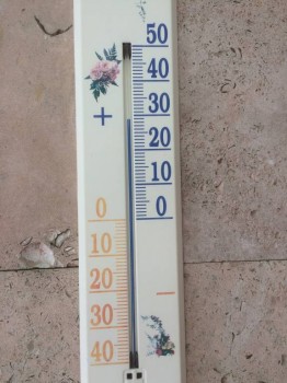 Это сейчас в беседке под виноградом, на солнце тяжко