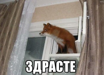 Из ВКонтактика с приветиком  - gnJrR7jVdbM.jpg