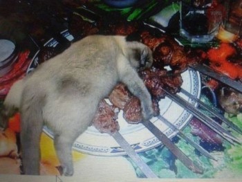 Из ВКонтактика с приветиком  - IGZaaoNwrqw.jpg