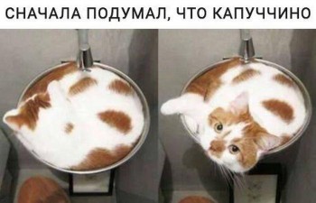 Из ВКонтактика с приветиком  - tXQRgXKdKtU.jpg