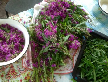 Чем сегодня занимались - image.jpg