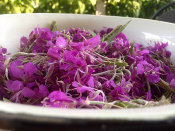 Чем сегодня занимались - image.jpg