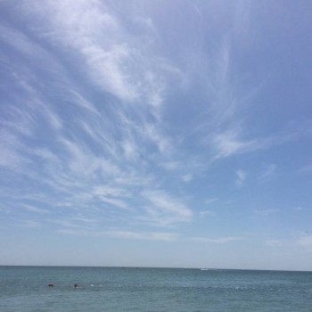 Чем сегодня занимались - IMG_0596.JPG