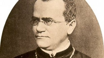 Известные Врачи. - preview-gregor_johann_mendel.jpg