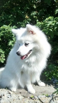 Кого из животных вы содержите? Фото приветствуется. - DSC_0019.JPG