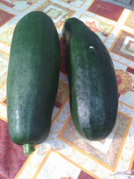 Прямо с грядки Наш урожай  - IMG_20170802_173812.jpg