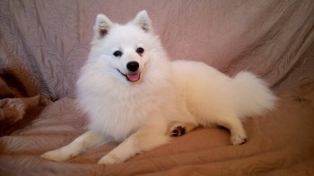 Кого из животных вы содержите? Фото приветствуется. - DSC_0024.JPG