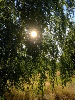 Чем сегодня занимались - image.jpg